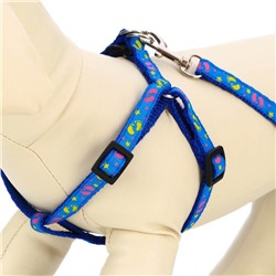 Комплект «Цветные следы», ширина 1 см, поводок 120 см, шлейка 23-35 см, синий