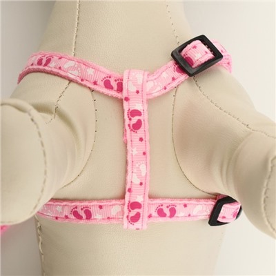 Шлейка с поводком «Цветные следы», ОГ 23-35, ширина 1 см, поводок 120 см, розовая