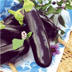 5128D Баклажан Фрегат 5шт