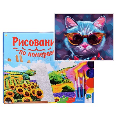 Холст с красками 40х50 по номерам. Кот в очках (24 цв.)