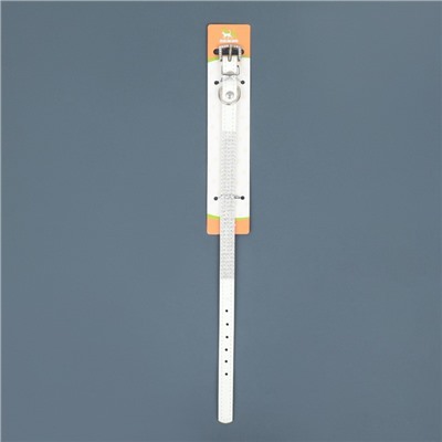 Ошейник со стразами в 4 ряда и стразы на пряжке, 38×1.5 см, ОШ 26-33, белый