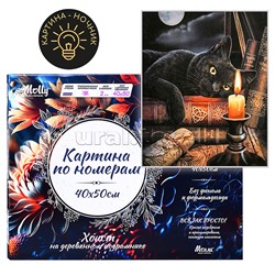 Картина по номерам 40х50 "Час магии" USB LED подсветка (22 цвета)