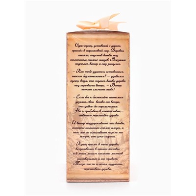 Подарочный набор косметический Ocean Spa персик и пачули, 370 г