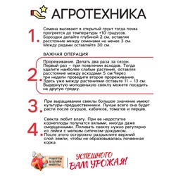 Семена Свекла «Египетская плоская», 2 г