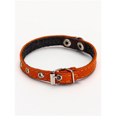 Ошейник, 30.5×1.2 см, ОШ 20-27 см, однослойный, неукрашенный, на фетре, кожа, оранжевый
