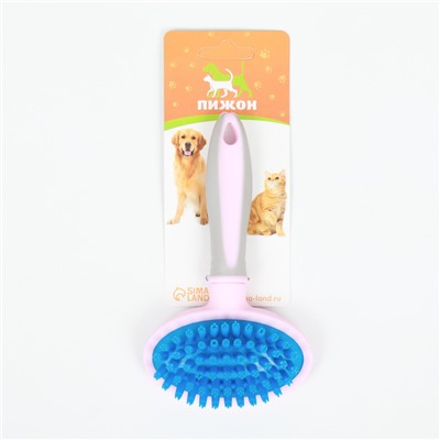 Щётка-массажёр для животных, 9.5×16.5 см, с силиконовыми зубьями, средняя, пластик, розовая, голубая