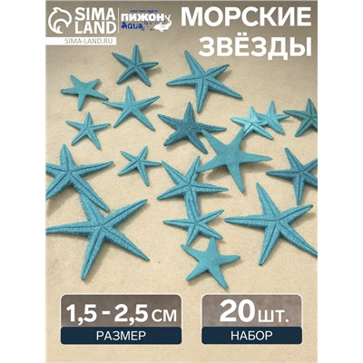 Набор натуральных морских звезд, 1.5 - 2.5 см, 20 шт., синий