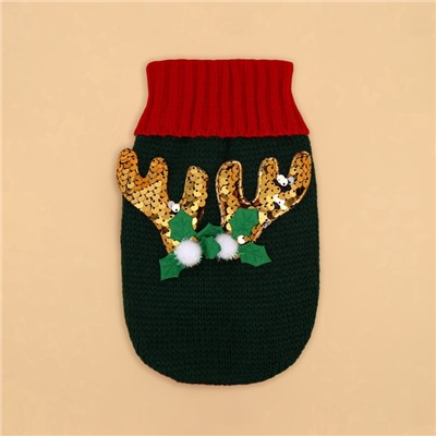 Свитер для животных «Рога удачи», размер XS (ДС 20 см, ОШ 17, ОГ 23-37), зелёный