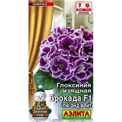 2008A Глоксиния Брокада F1 блю энд вайт 5шт