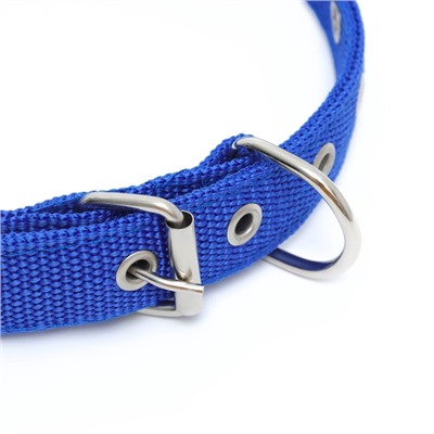 Ошейник «Комфорт» комбинированный (полиэстер, искусственная кожа), 55×2.5 см, ОШ 40-50 см, синий 6