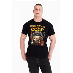 Футболка М125114Па