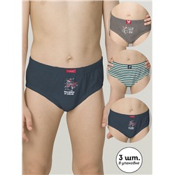 PELICAN Трусы BULB3307(3)