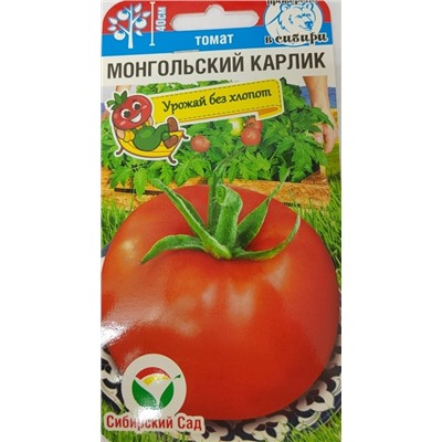 Томат Монгольский Карлик (Код: 90726)