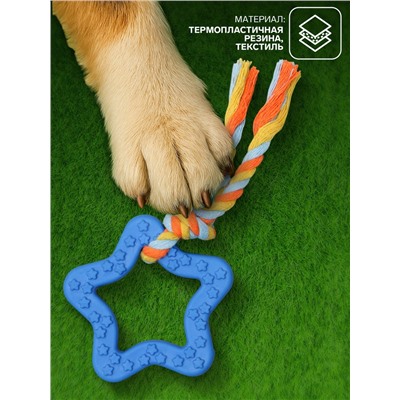 Игрушка жевательная с канатом «Звезда с хвостом», синяя