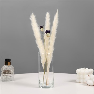 Ваза «Ротонда-3», 430 мл, 15×6.5 см, стекло, прозрачная