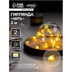 Гирлянда «Нить» 2 м роса с насадками «Тыква», IP20, серебристая нить, 20 LED, свечение тёплое белое, 2 режима, ААх2