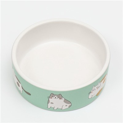 Миска «Котяры», 300 мл, 12.5×12.5×4.5 см, керамика, зелёная, белая