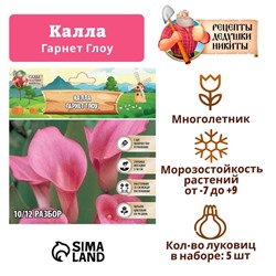 Калла "Гарнет Глоу", р-р 10/12, 5 шт, Весна 2025