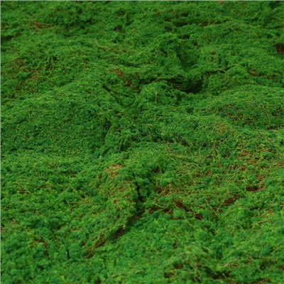 Мох искусственный, декоративный, полотно 1×1 м, зелёный, Greengo