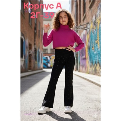 штаны 2050811-1