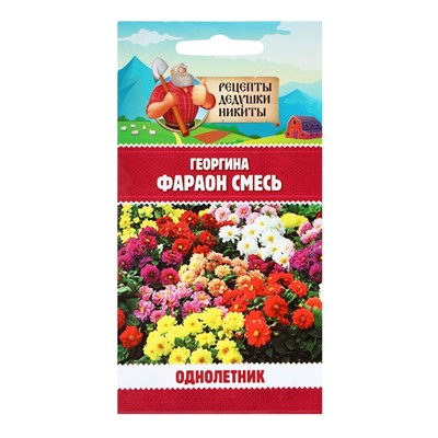 Семена цветов Георгина «Фараон», смесь окрасок, 0.3 г, «Рецепты дедушки Никиты»