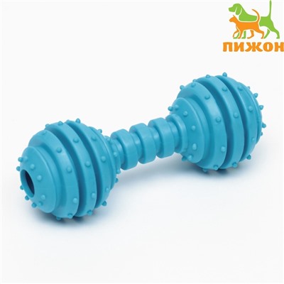 Игрушка жевательная «Чемпион», TPR, 12.5 см, голубая
