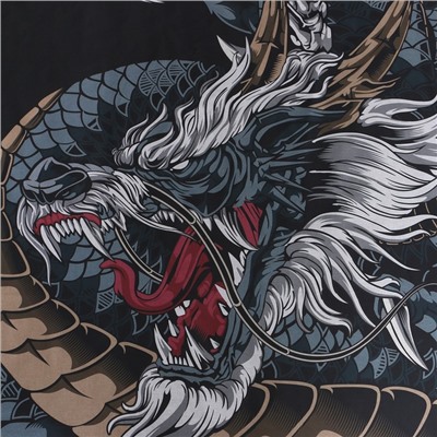 Постельное бельё 1.5-спальное «Этель» Dragon, бязь