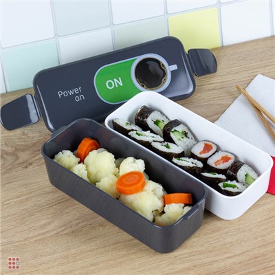 Ланч-бокс 2 секции (0, 5л+0, 5л), 19х8х9, 5см, с декором, пластик