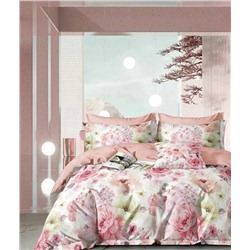 Текс-плюс КПБ Общий НФ-00245529