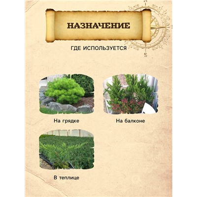 Грунт для Туи и Можжевельника PETER PEAT, линия «Хобби», 20 л