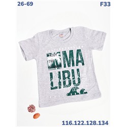Футболка F33 серый