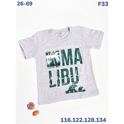Футболка F33 серый