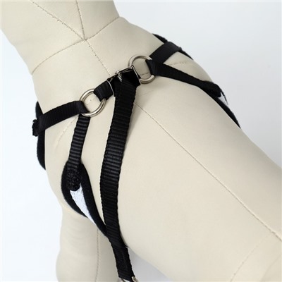 Комплект с мягкой шлейкой и бантиком, размер S, поводок 120×1.5 см, ОГ 23-42 см, серый