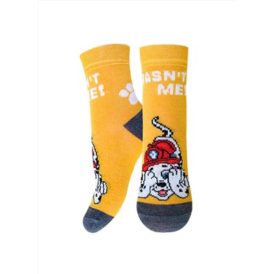 БРЕСТСКИЕ Носки 3072 PAW PATROL