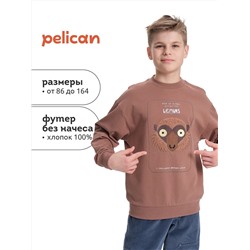 PELICAN Толстовка BFN3370