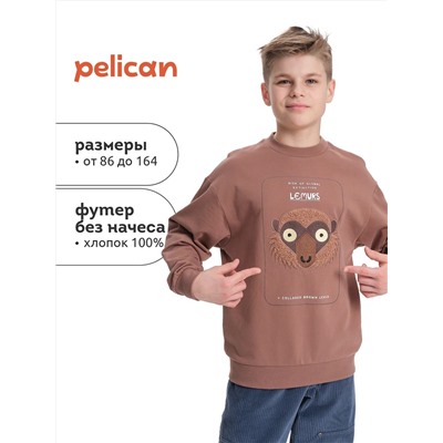 PELICAN Толстовка BFN3370