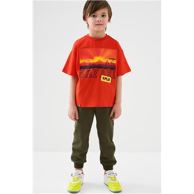 Фуфайка трикотажная для мальчиков (футболка) PLAYTODAY, 1239802