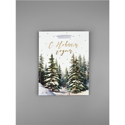 Пакет подарочный новогодний ламинированный «С Новым годом», MS 18×23×10 см