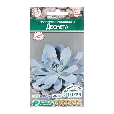 Семена эхеверия пеакоцкого «Десмета», 5 шт.