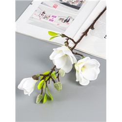 Цветы искусственные «Магнолия галант», 56×11 см, белые