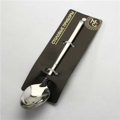 Ложка чайная Magistro Line, длина 15.5 см, нержавеющая сталь, серебристая