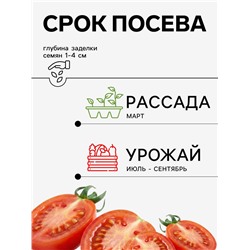 Семена Томат, «Президент II», F1, 5 шт., Seminis, «Агрос»