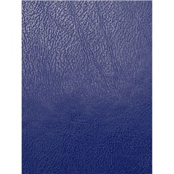 Тетрадь  48л клетка "СИНИЙ" бумвинил 48-9534 Проф-Пресс