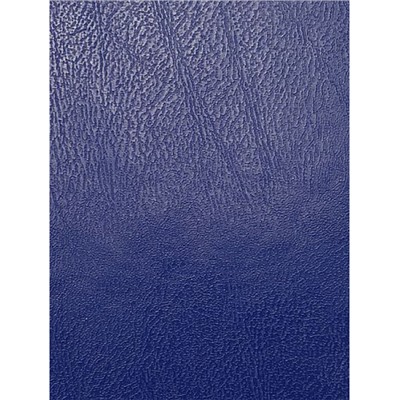 Тетрадь  48л клетка "СИНИЙ" бумвинил 48-9534 Проф-Пресс