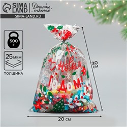 Пакет подарочный новогодний пластиковый «С новым счастьем», 20×30 см