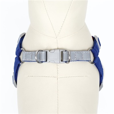 Комплект Sport+, L, поводок 120×1.5 см, ОШ 49-56 см, ОГ 56-68 см, вес животного 20-28 кг, синий 9