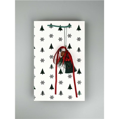 Пакет подарочный «Новогодний сюрприз», тиснение, с шишками и бахромой, 25.5×9×30 см