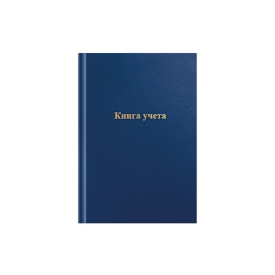 Книга учета, 192 листа, обложка бумвинил, блок газетный, клетка, синяя