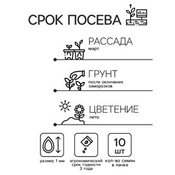 Семена цветов Катарантус "Казанова", 10шт