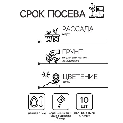 Семена цветов Катарантус "Казанова", 10шт